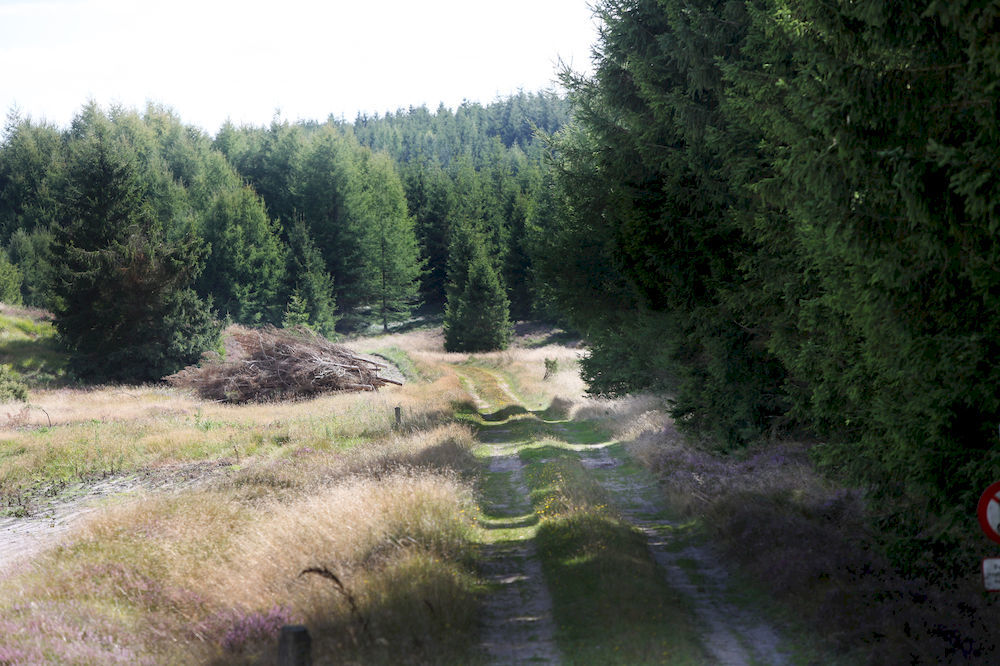 Hotel Dancamps Hampen Zewnętrze zdjęcie